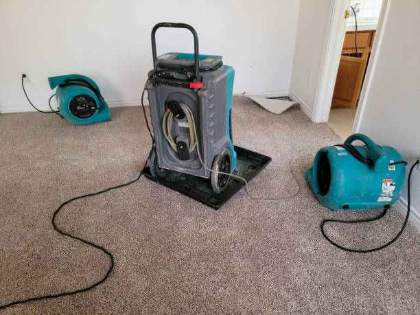 Best Residential water damage restoration  in Herald, CA