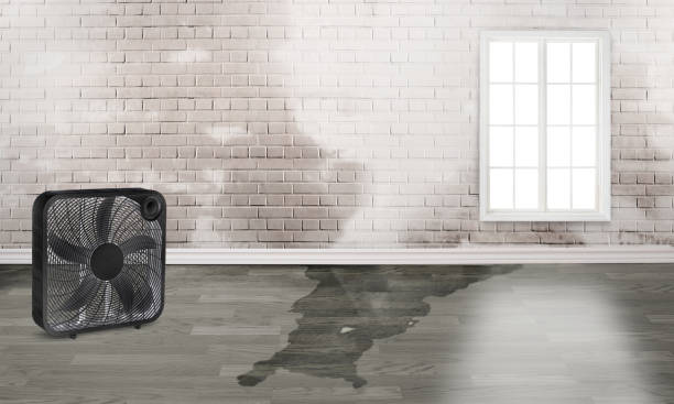 Best 24-hour water damage restoration  in Herald, CA