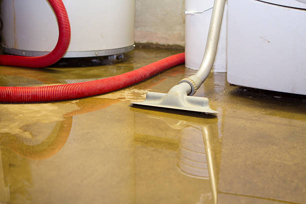 Best Carpet water damage restoration  in Herald, CA
