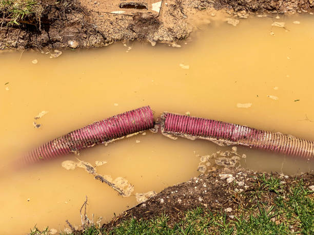 Best Emergency water damage restoration  in Herald, CA